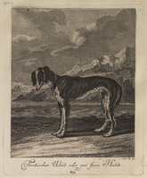 KG 01073
          <br/>
          Entwurf einiger Thiere. Erster Theil. (18 bladen)
          <br/>
          <em>Ridinger, Johann Elias (1698-1767)</em>